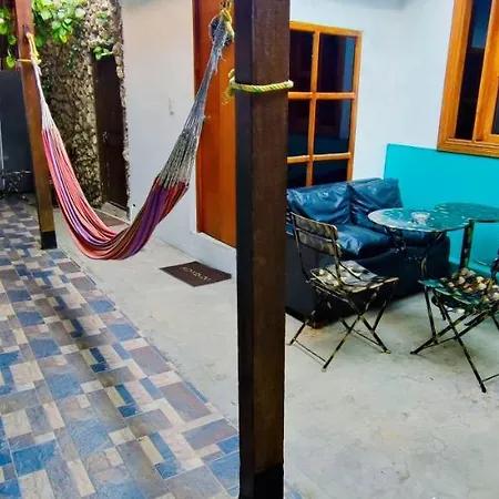 New Casa Dora *