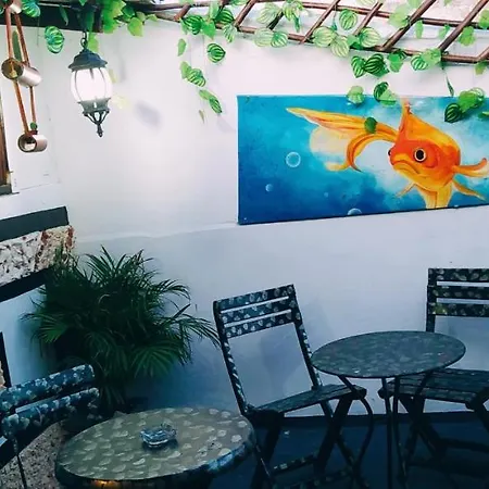 New Casa Dora *